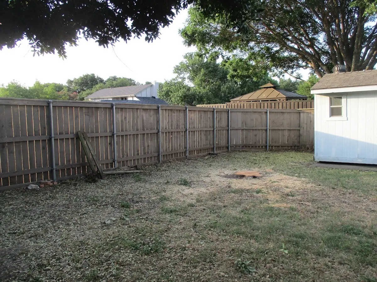 Cleared yard after professional tree removal in Kalkaska